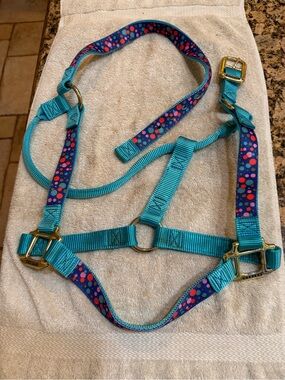 Weaver horse halter Turquoise Polka Dot see label - Teal with Multicolor Dots